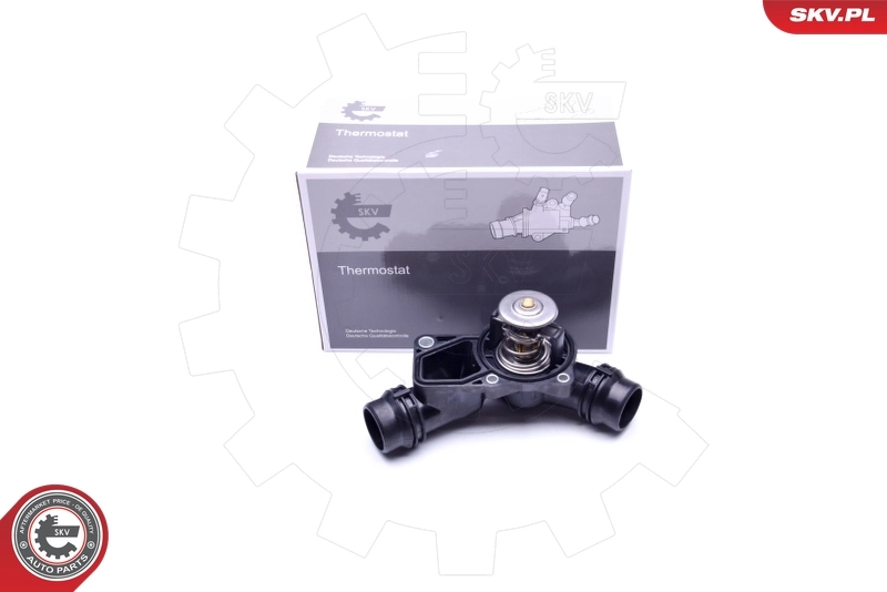 Thermostat, coolant
